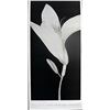 Image 1 : Fine Art Print "Cycle and Bud" by Seun-Geun Cho