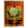 Image 1 : Fine Art Print " Camelia" by Doug Landreith