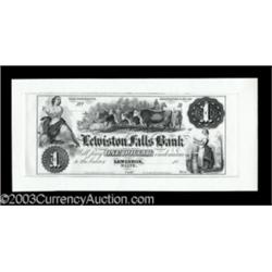 Lewiston, Me- The Lewiston Falls Bank