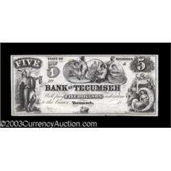 Tecumseh, MI- Bank of Tecumseh