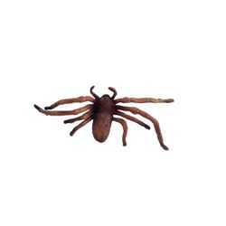 Arachnophobia Tarantula Screen Used Movie Props