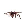 Image 1 : Arachnophobia Tarantula Screen Used Movie Props