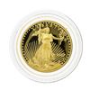 Image 1 : 2007 $10 American Gold Eagle Proof Coin