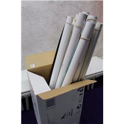 Lot of Assorted Movie Posters (15)