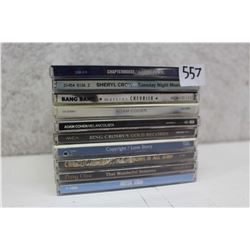 Lot of Assorted Music CDs (10)