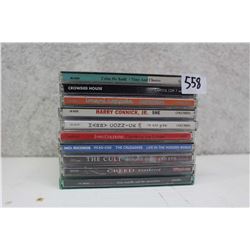 Lot of Assorted Music CDs (10)