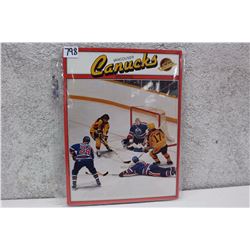 Vancouver Canucks Magazine