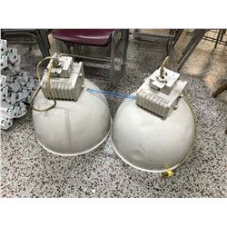 Pair of Hanging Industrial Lights