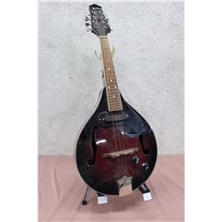 Electric Laurel Mandolin & Stand