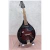 Image 1 : Electric Laurel Mandolin & Stand