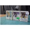 Image 1 : Three Sets Of Hockey Cards (1991–92 OPC, French set, 1991– 92 Euro-Stars)
