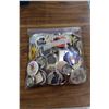 Image 1 : Lot of Assorted Pins