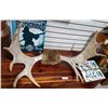 Image 1 : SET OF MOOSE ANTLERS