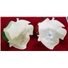 Image 1 : PAIR OF CARLTON WARE LEAF BOWLS