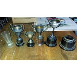 Lot Of Misc. Trophies