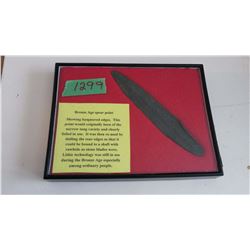 Bronze Age Spear Point In Case