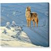 Image 1 : The Coyote Print on Canvas