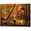 Image 1 : Down the Golden Path Print on Canvas