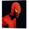 Image 1 : Spiderman Print on Canvas