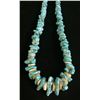 Image 1 : Turquoise and Shell Necklace