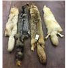 Image 2 : Group of 4 Fox Pelts