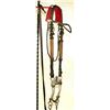 Image 1 : Rawlins Wyoming Bridle