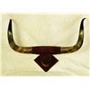 Image 1 : Longhorn Plaque