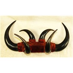 Horn Wall Rack