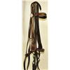 Image 1 : Studded Wide Cheek Bridle w/ Railroad Rosettes