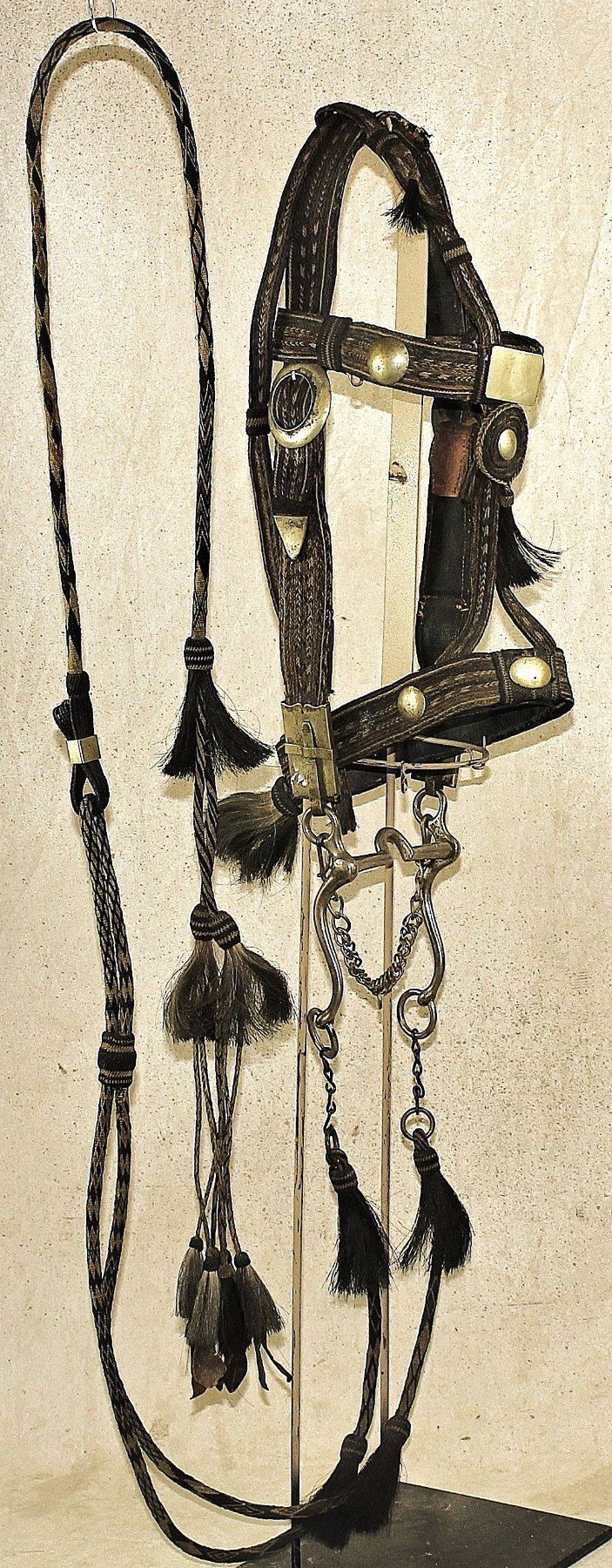 Interesting Horsehair Bridle