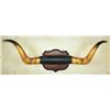 Image 1 : Longhorn Wall Mount