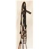 Image 1 : Silver Mounted Headstall