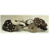 Image 1 : Huge Visalia Style Spurs