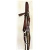 Image 1 : Keyston Bro's Silver Bridle