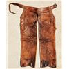 Image 1 : SC Gallup Shotgun Chaps