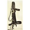 Image 1 : Tooled Headstall