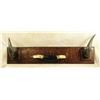 Image 1 : Large Buffalo Horn Display
