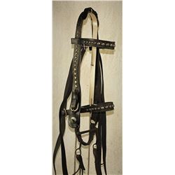 Studded Bridle