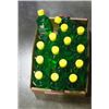Image 2 : BOX OF ALOE VERA AFTER SUN GEL