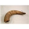 Image 2 : Old and Primitive Shepherd's Calling Horn