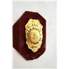 Image 1 : Gold Plated Fire Department Retirement Badge