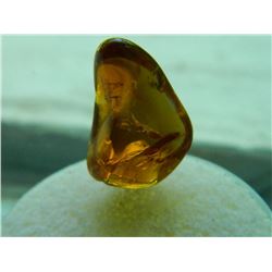 GEM STONE - FREE FORM POLISHED ORANGE AMBER 18.7L X 10.4W X 7.4H mm