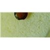 Image 2 : GEM STONE - ROUND FACETED BROWN/ RED GARNET 6.1D X 3.2H mm - ~0.84CT - OFFSET SIDE - SEE PICTURE