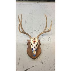 4x3 European Mule Deer Mount Hand Painted