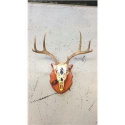3x3 European Mule Deer Mount Hand Painted