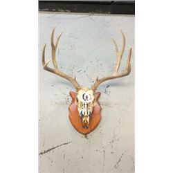 4x3 European Mule Deer Mount Hand Painted