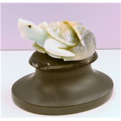 Agate Turtle Craving
