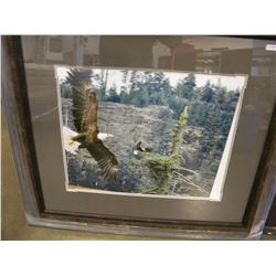 23583 - NEW EAGLES DOMAIN PRINT (BY JAMES T JONES)