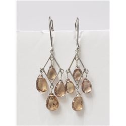 14K White Gold Rare Colour-changing Garnet (3.00ct) Earrings, Insurance Value $1200