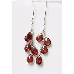 14K White Gold Garnet (9.60ct) Earrings, Insurance Value $722